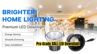 DALI 調光可能な埋め込み型 LED ダウンライト ライト