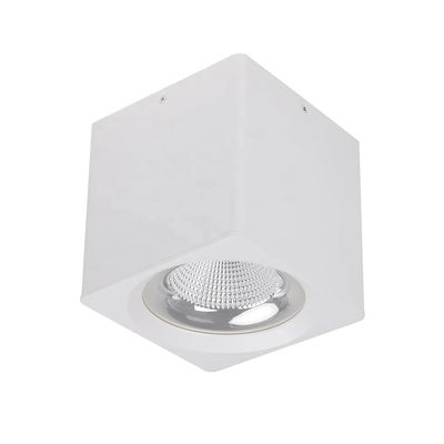 Lampu Downlight LED yang Dipasang di Langit-langit 12W Umur Panjang 50000 jam Cocok untuk Penerangan Gudang