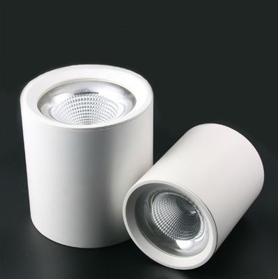 Aluminum 20° 45° Round Surface Mounted Downlight 2700K-6500K