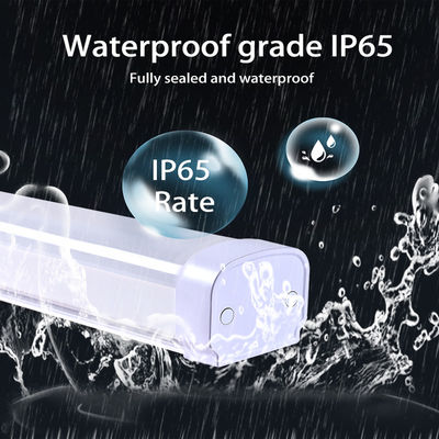 comprar AC100-240V Luz LED Triproof SMD2835 120lm/W con ángulo de haz de 120° Fabricación en línea