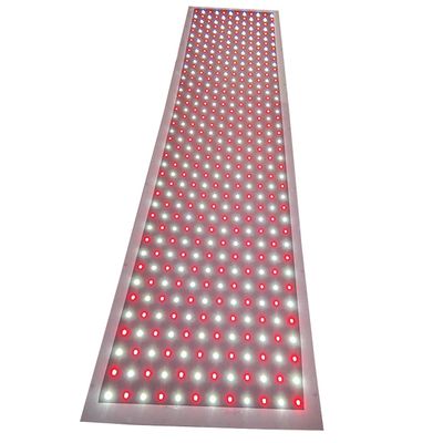 comprar Lámparas de cultivo LED comerciales de 100 vatios con ángulo de haz de 120° para una agricultura sostenible Fabricación en línea