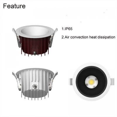 Outdoor Recessed Round Downlight IP65 4Inch 6inch 220V LED COB Downlight