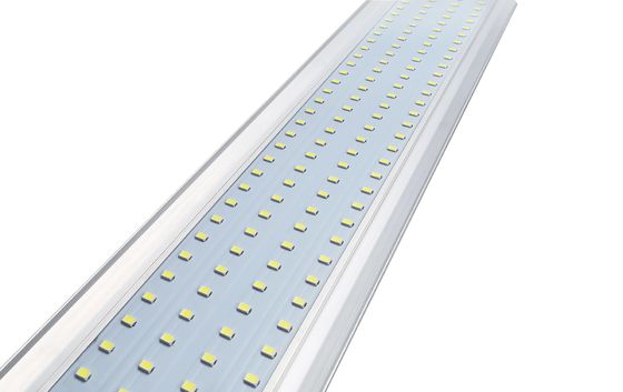 160lm/W Linkable LED Triproof Light White Frame 5 Years Warranty