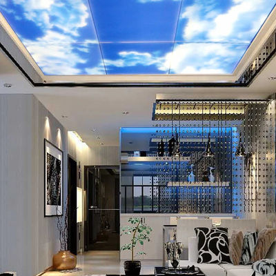 Versatile Outdoor LED Flat Panel Lights Illumination 300x300mm Exterior Solar LED Lights