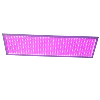 100W LED Grow Lights Full Spectrum 120° Beam Angle With High Light Intensity