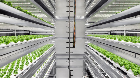 comprar Plantas de interior LED de luz de crecimiento de tercera generación personalizada de 100 Watt de espectro completo de luz de crecimiento Fabricación en línea