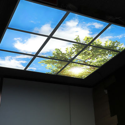 24 Inch 2x2 6060 40W Smart Natural Light LED Panel Dimmable Embedded Ceiling Light Blue Sky