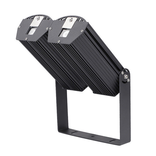 LED Type Green/Blue Light Commercial Laser Light Casting with 90°/110° Beam Angle