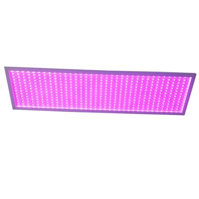 Un buon prezzo. 100W luci di crescita a LED a spettro completo angolo di raggio di 120° con alta intensità luminosa in linea