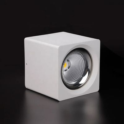 Harga bagus 12W Downlight Terintegrasi CRI 80 untuk Solusi Pencahayaan yang Dapat Dikustomisasi dan Serbaguna on line