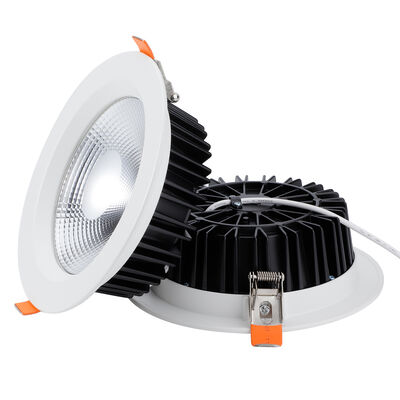Goede prijs. Moderne Smart Control Tunable White LED-downlight met Zigbee 0-10V en 5 jaar garantie voor residentieel gebruik online