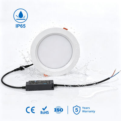 Harga bagus Downlight LED Tahan Air Ultra Slim IP65 dengan Efisiensi 100LM/W dan Garansi 5 Tahun untuk Penggunaan Dalam Ruangan dan Luar Ruangan on line